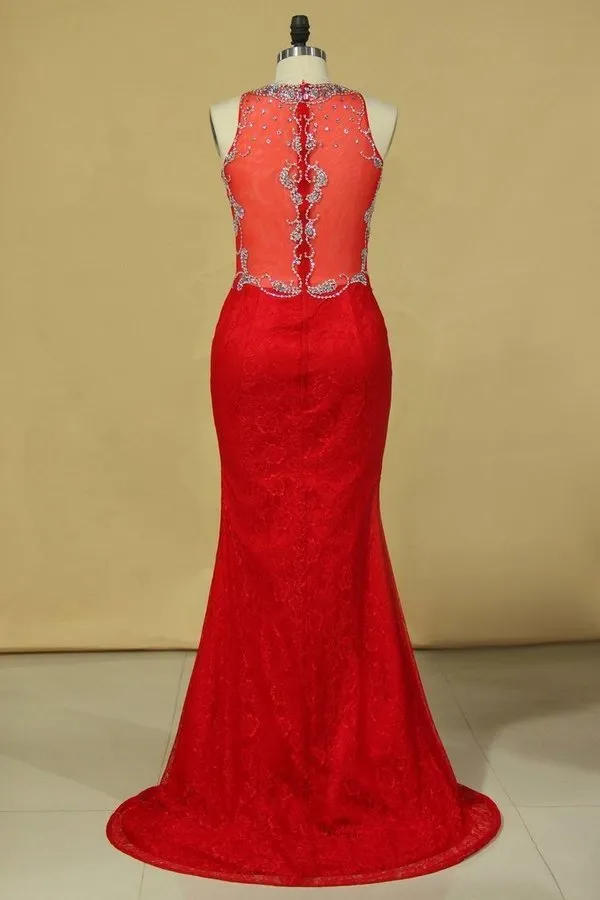 2024 Red Plus Size Prom Dresses Scoop Beaded Bodice Sweep Train P718ALTZ