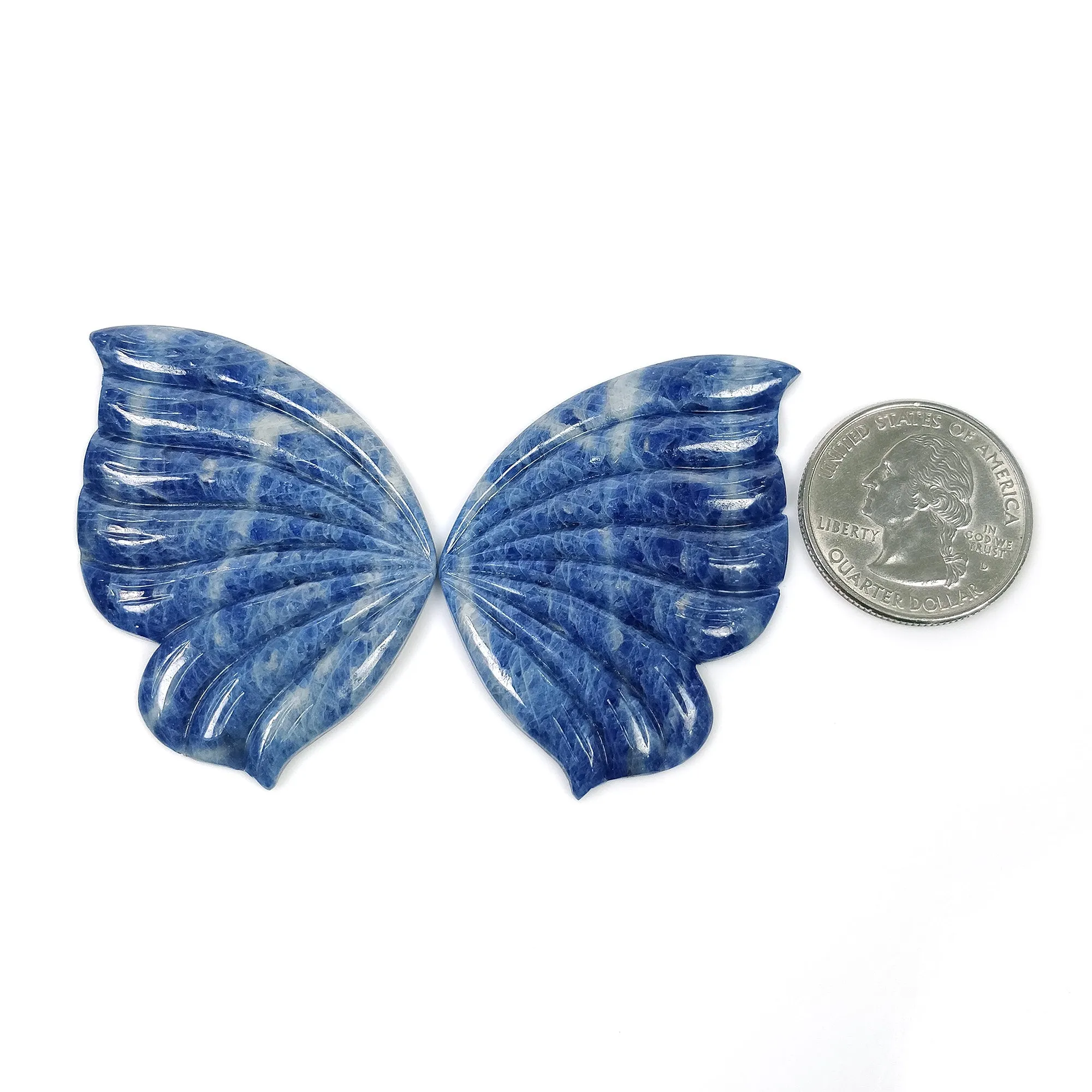 BLUE SAPPHIRE Gemstone Carving : 125.90cts Natural Untreated Unheated Sapphire Gemstone Hand Carved BUTTERFLY 45*32mm