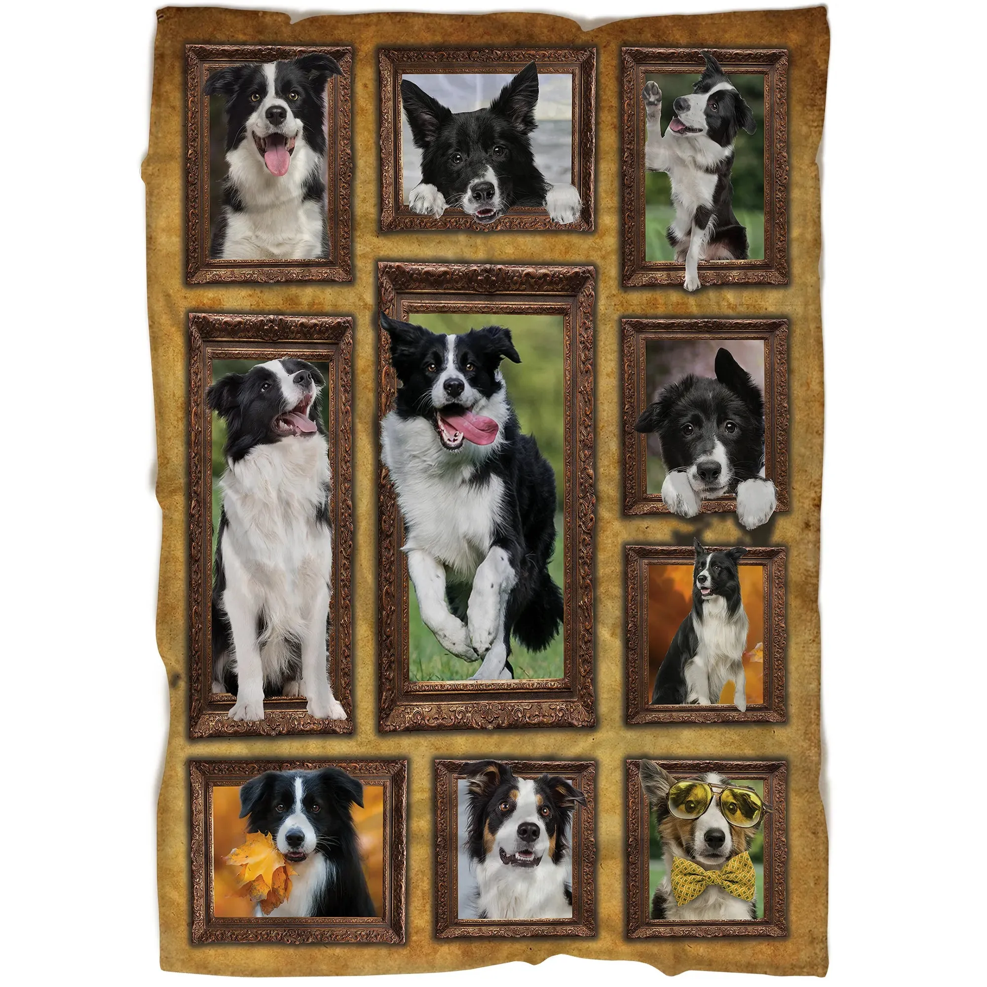 Couverture Border Collie, Race De Chien De Troupeaux - CT28092223