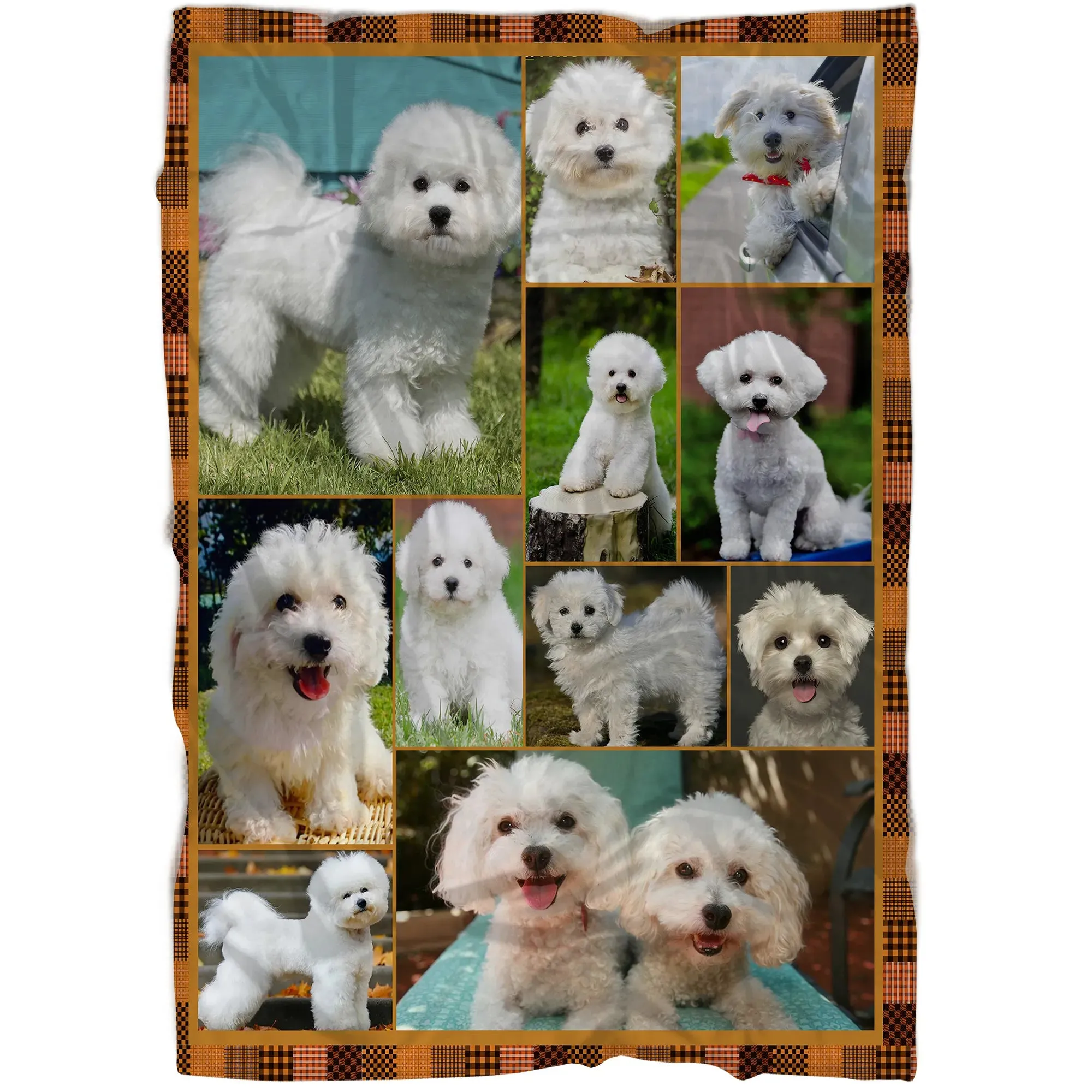 Couverture Mignon Bichon  Poil Frisé, Cadeau Pour Fan de Chiens, Tenerife, Chien De Compagnie  Poil Blanc - CT19122243