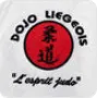 [Custom Logo Design] Dojo Liegeois