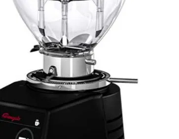 Fiorenzato F64 Evo Black Espresso Grinder